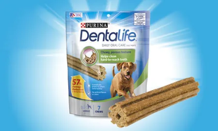 Purina best sale dentalife large